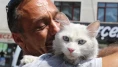 Gölcük'te kayıp kedi sahibine kavuştu
