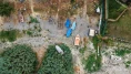 Sapanca Gölü için acil önlemler devreye giriyor