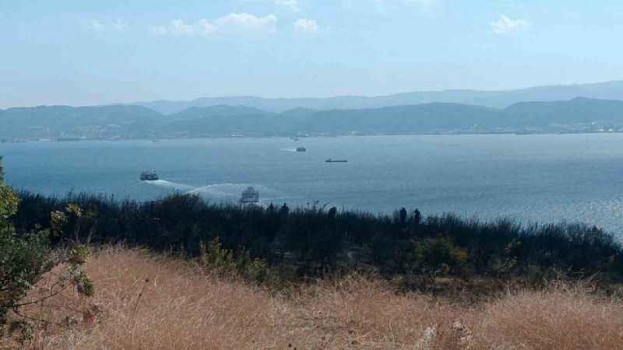 Kocaeli'de Orman Yangını! 3