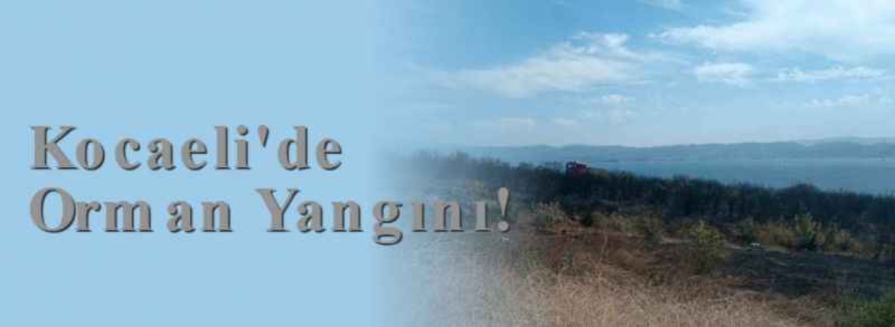 Kocaeli'de Orman Yangını! 8