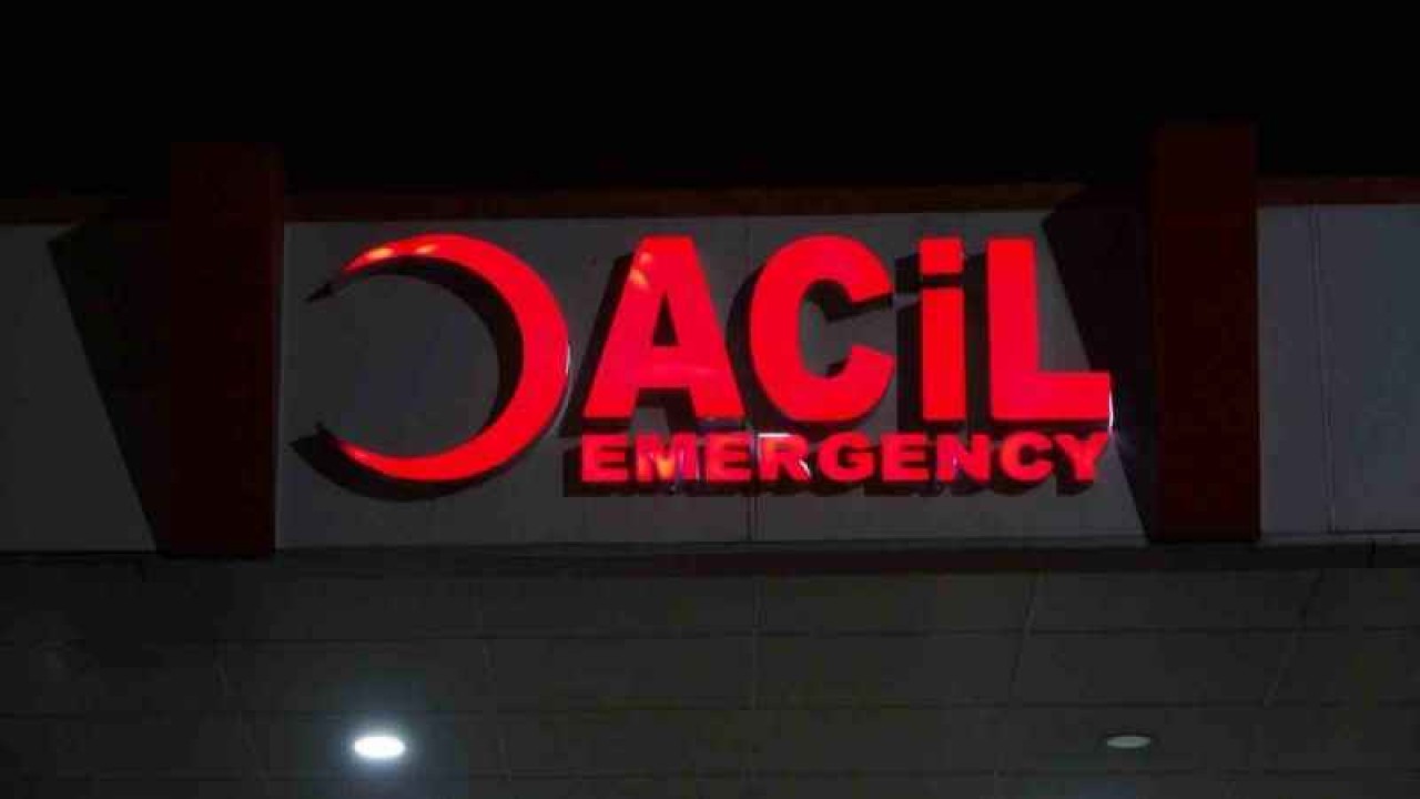 Kocaeli Haberleri; Hamsi Yediler, Hastanelik Oldular 6