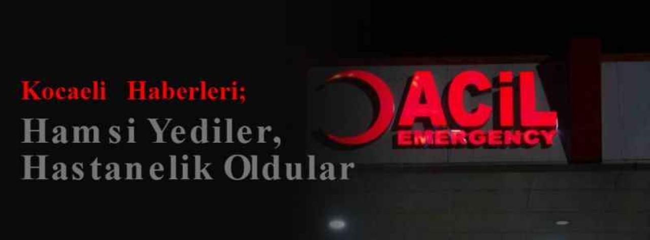 Kocaeli Haberleri; Hamsi Yediler, Hastanelik Oldular 7