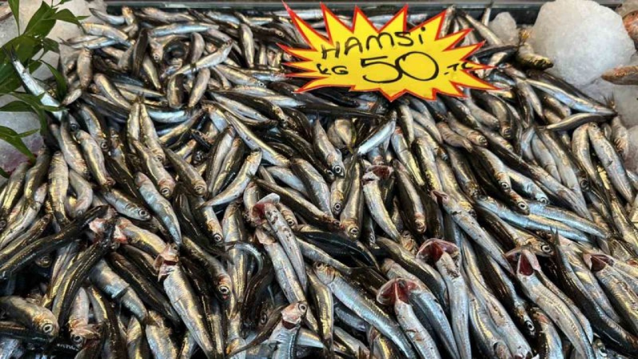 Düzce Haber: Hamsi 150 Tl'den 50 Tl'ye Düştü 2