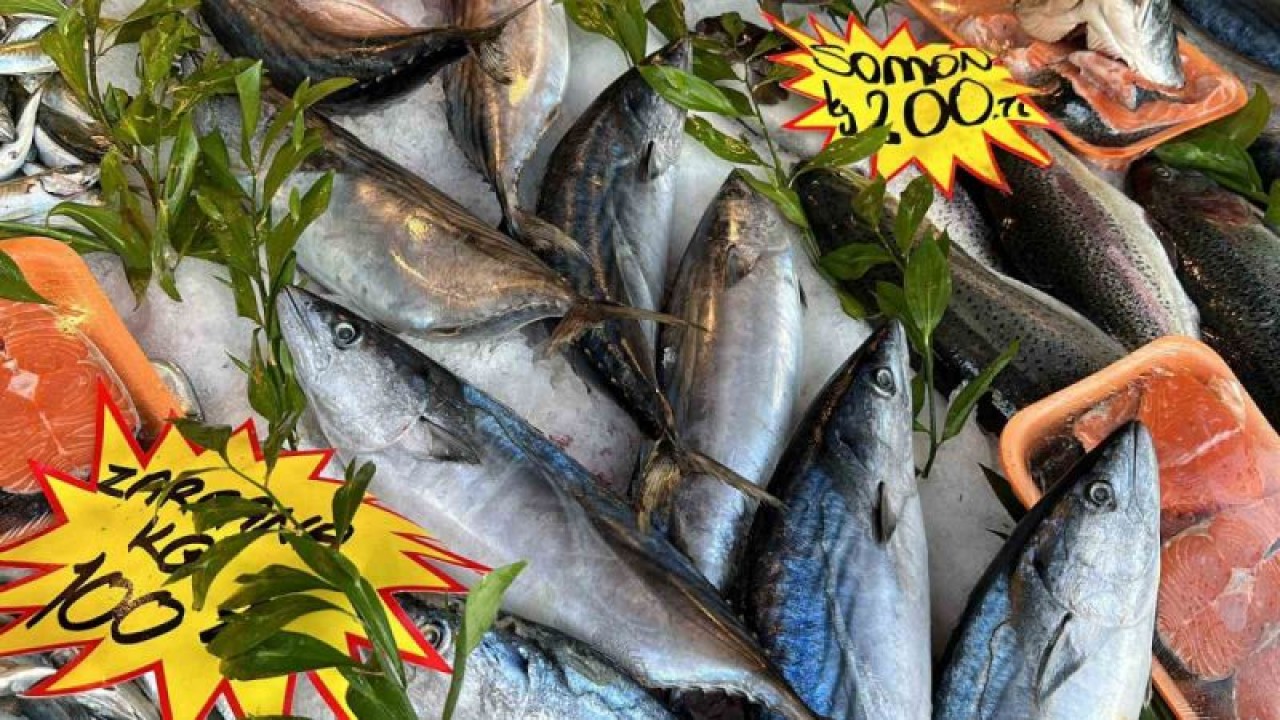 Düzce Haber: Hamsi 150 Tl'den 50 Tl'ye Düştü 5