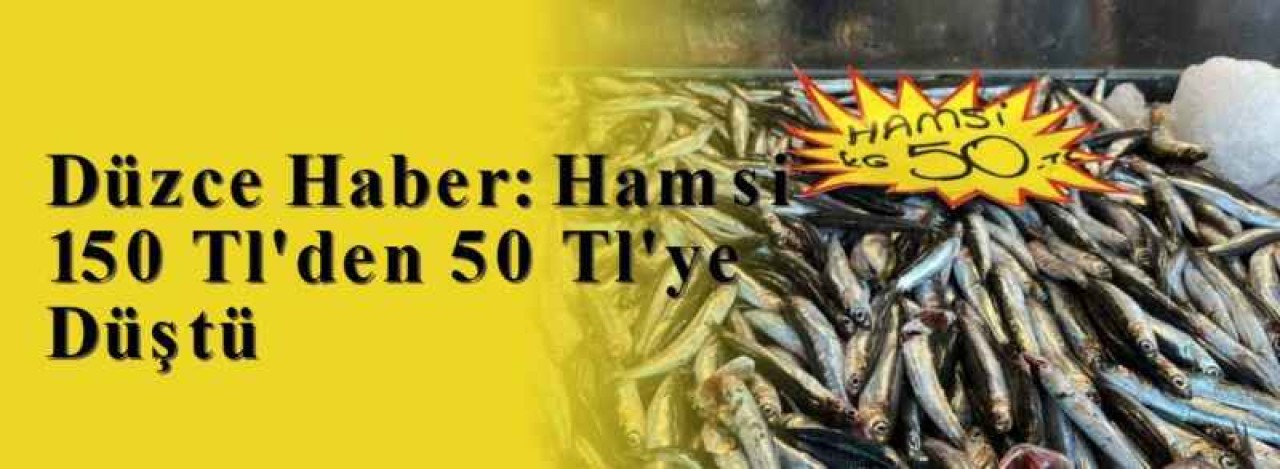 Düzce Haber: Hamsi 150 Tl'den 50 Tl'ye Düştü 8