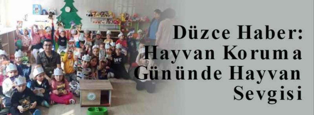 Düzce Haber: Hayvan Koruma Gününde Hayvan Sevgisi 4