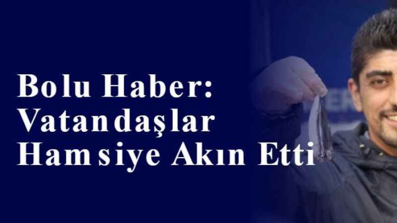 Bolu Haber: Vatandaşlar Hamsiye Akın Etti 6