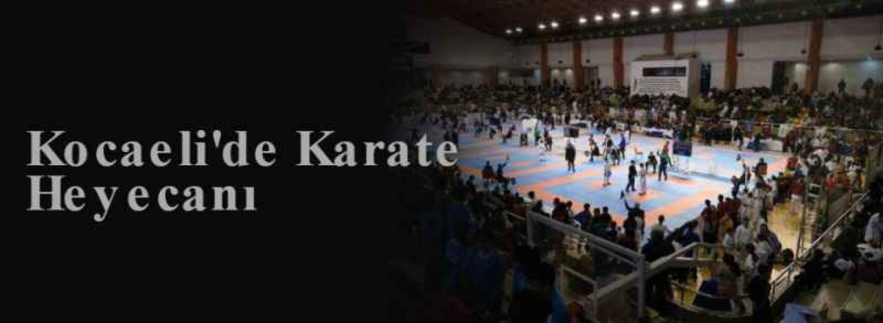 Kocaeli'de Karate Heyecanı 8