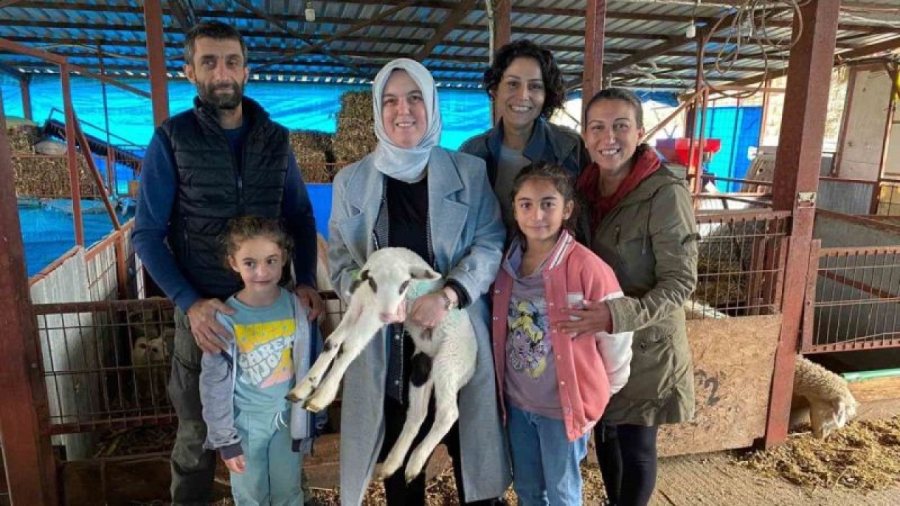 37 Küçükbaş'dan 135 Küçükbaşa Ulaştı 2