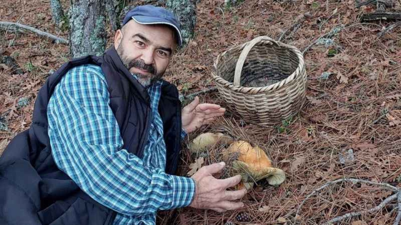 Mantar Toplamaya Giden Vatandaş 17 Cm Dev Kalınca Mantarı Görünce Şaşkına Döndü 6