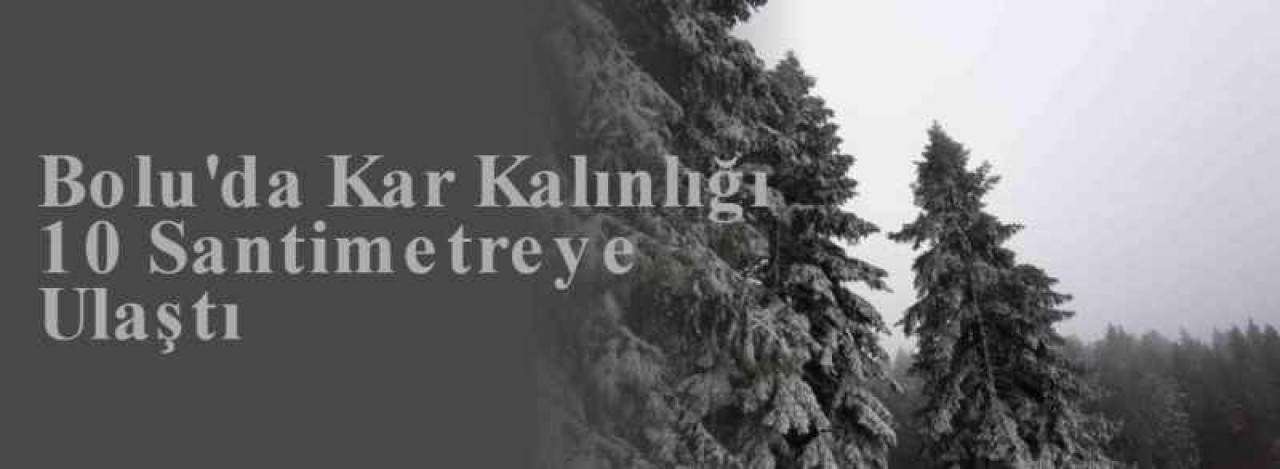 Bolu'da Kar Kalınlığı 10 Santimetreye Ulaştı 8
