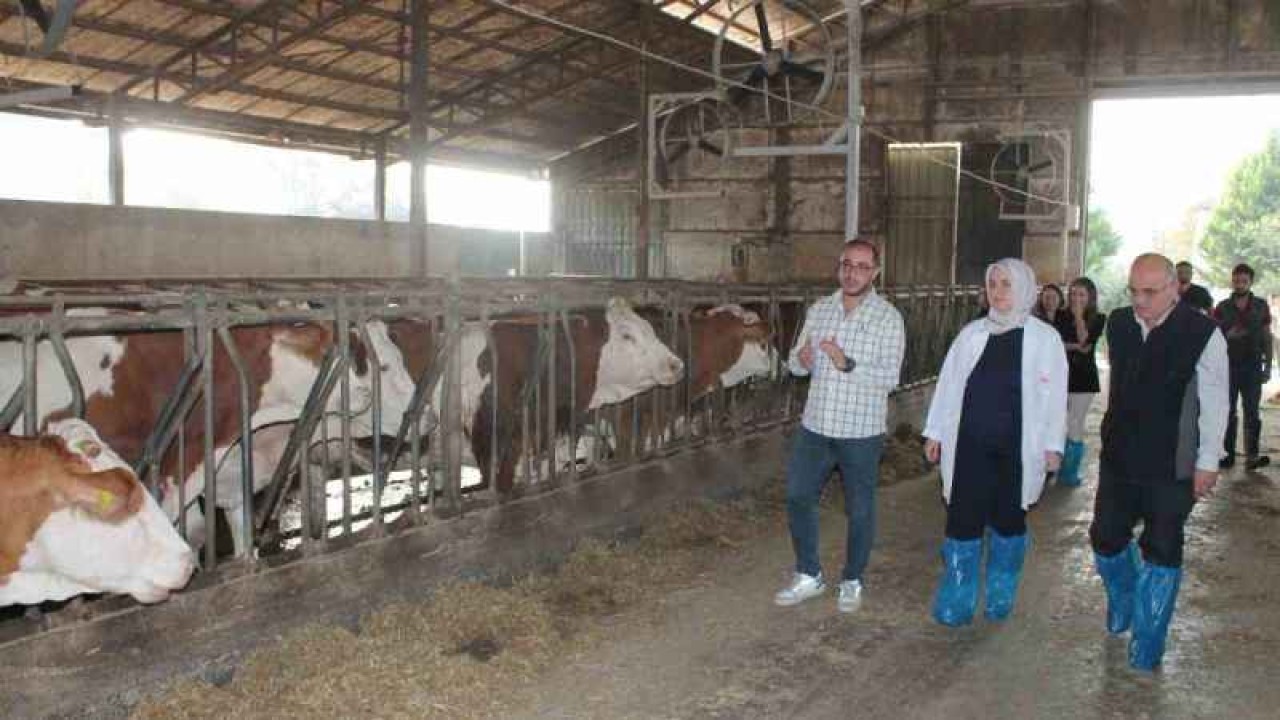 5 Ton Süt Üretiliyor 4