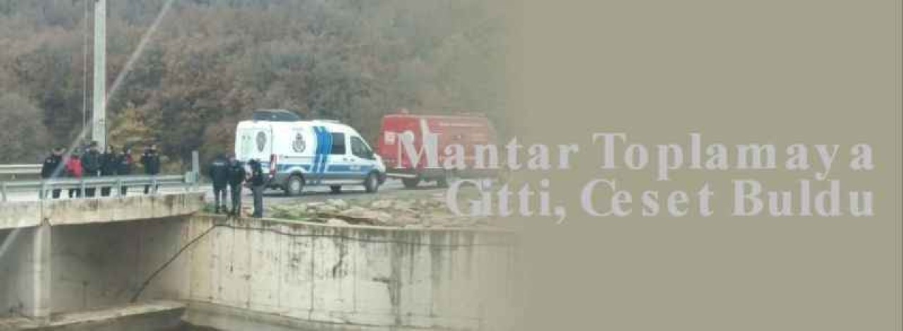 Mantar Toplamaya Gitti, Ceset Buldu 4