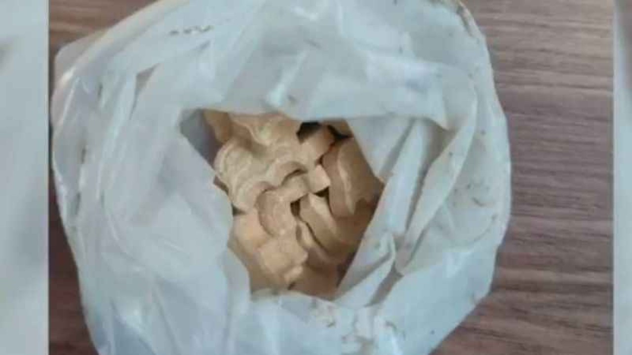 Sakarya'da Yakalandı: 13 Kilo 370 Buçuk Gram Kokain Ele Geçirildi 4