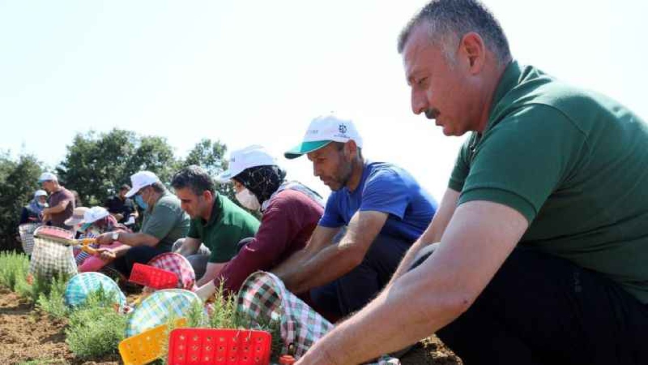 236 Milyon 210 Bin TL Tarıma Destek 7