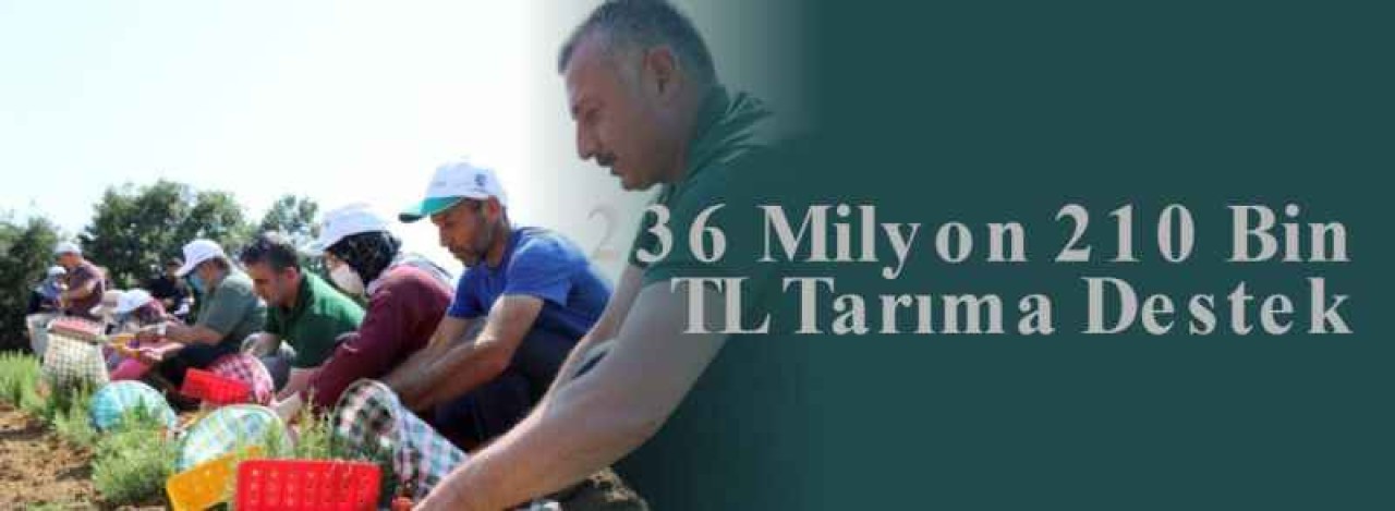 236 Milyon 210 Bin TL Tarıma Destek 8