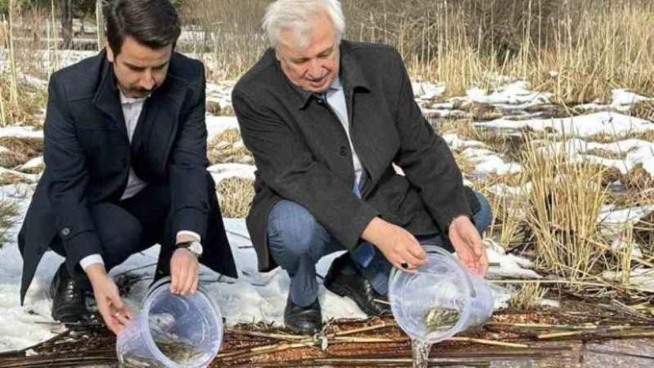 Bolu Abant Gölüne 3 bin 500 Yavru Balık Bırakıldı 3
