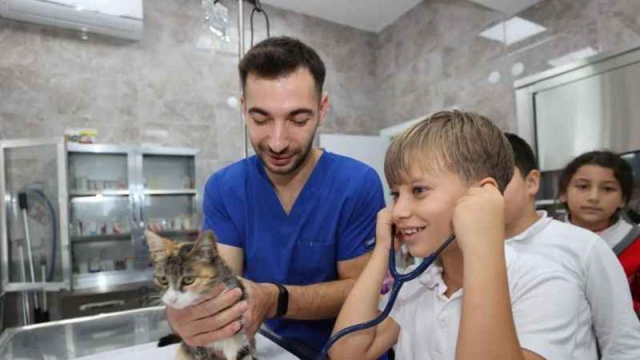 Gebze’de 10 bin 939 yaralı ve hasta hayvanın tedavisi yapıldı 4