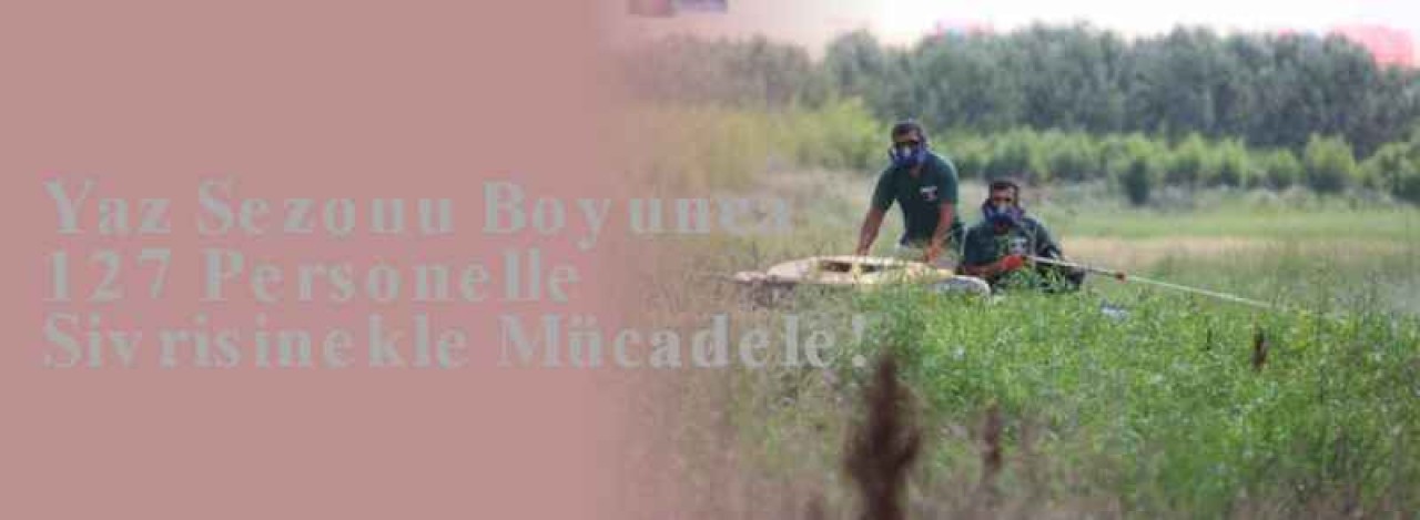 Yaz Sezonu Boyunca 127 Personelle Sivrisinekle Mücadele! 4