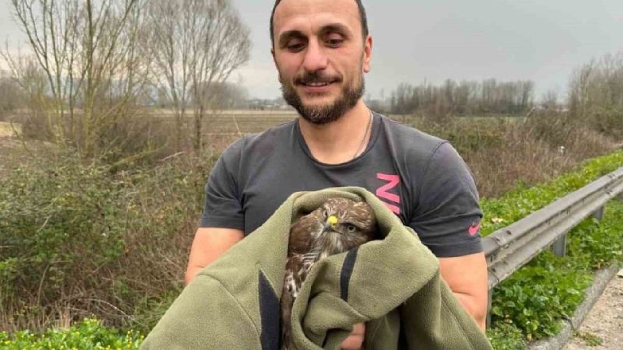 Düzce TEM'de Şahin Kurtarma Operasyonu 3