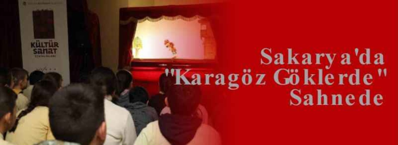 Sakarya'da "Karagöz Göklerde" Sahnede 8