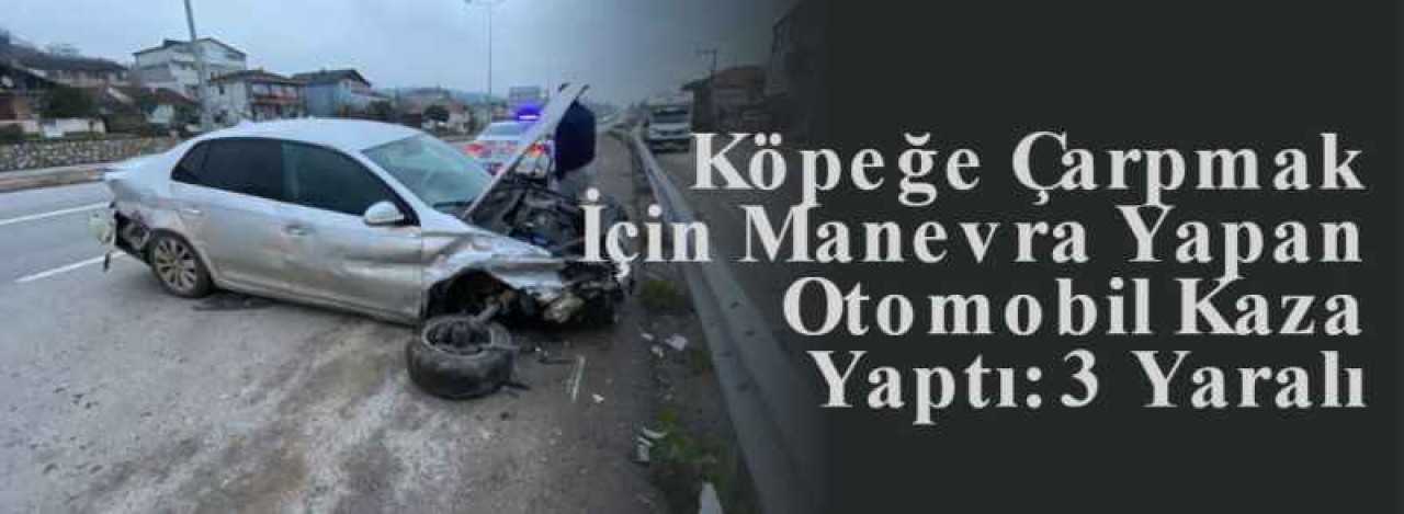  Köpeğe Çarpmak İçin Manevra Yapan Otomobil Kaza Yaptı: 3 Yaralı 7