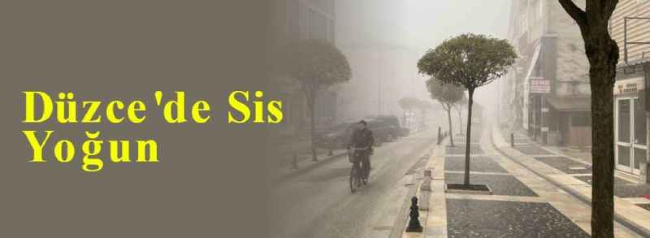 Düzce'de Sis Yoğun 6