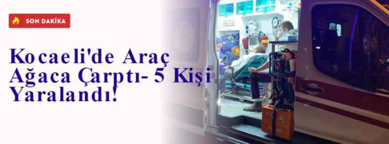 Kocaeli'de Araç Ağaca Çarptı- 5 Kişi Yaralandı! 7