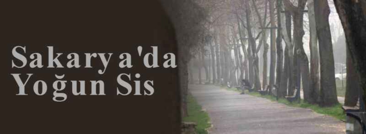 Sakarya'da Yoğun Sis 11