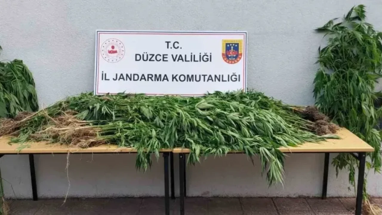 Düzce’de 33 Şahsa Uyuşturucudan İşlem Yapıldı 2