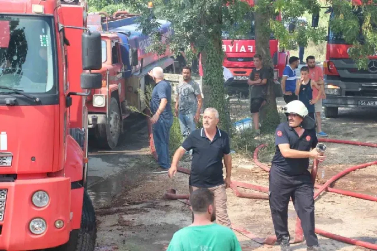 Sakarya’da Korkutan Yangın: Ahşap Atölyesi Alev Topuna Döndü 17