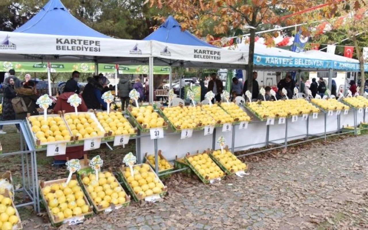 Kartepe Eşme Ayva Festivali düzenleyecek