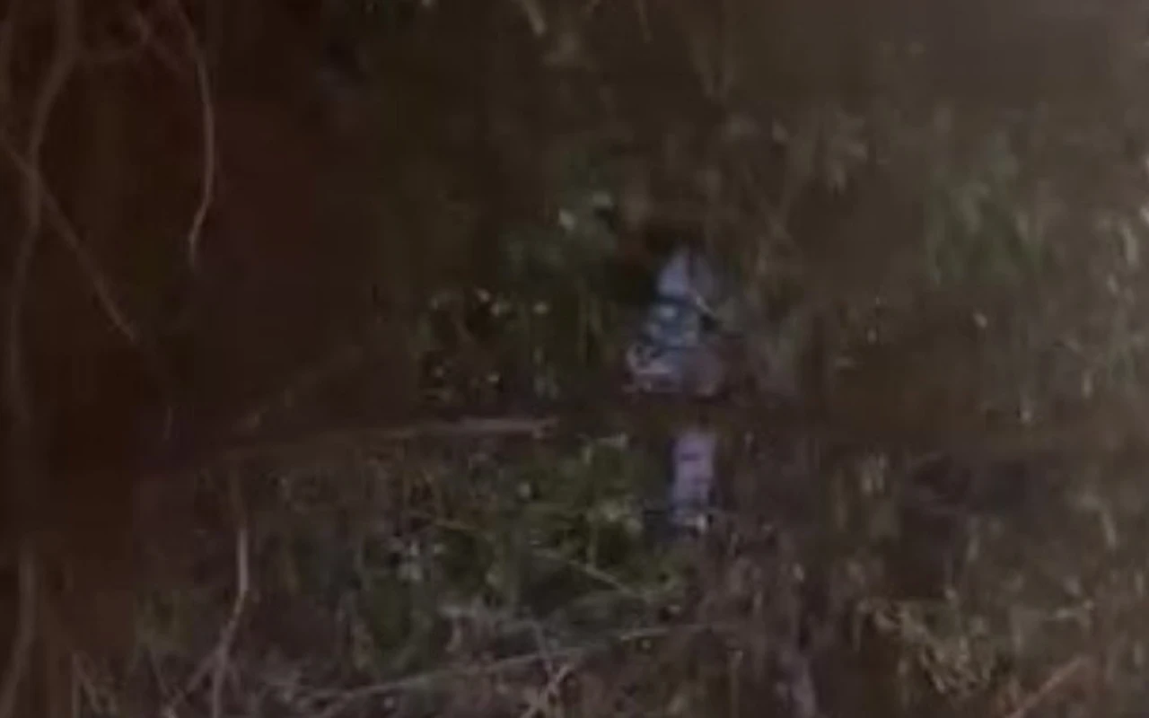 Çocuk ağaçtan itfaiyeyle kurtarıldı