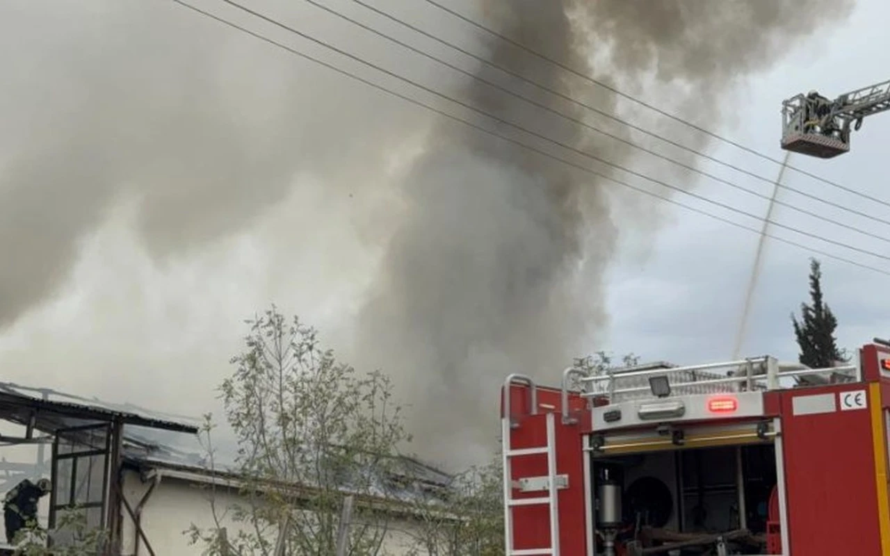 Çayırova’da yangın kontrol altına alındı