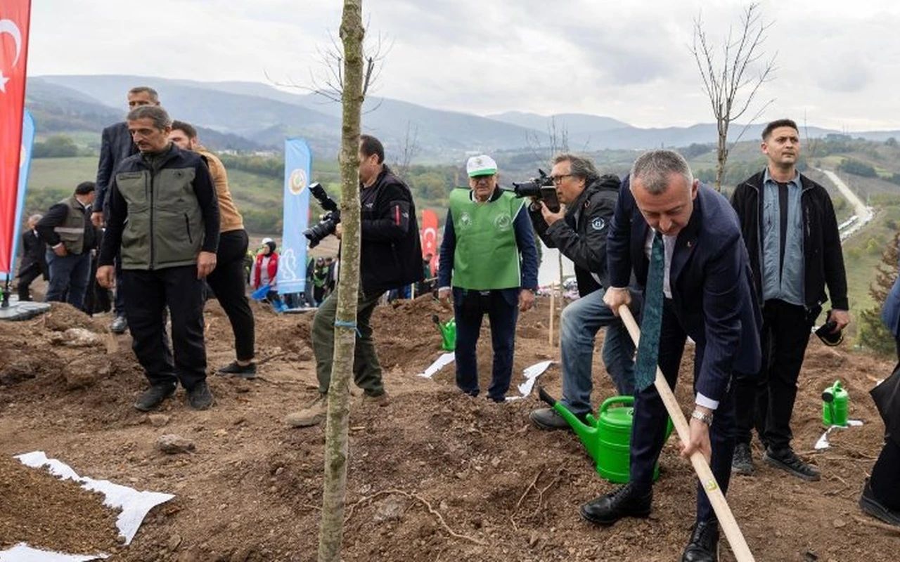 Karamürsel’de yangın bölgesine 3 bin ağaç dikildi