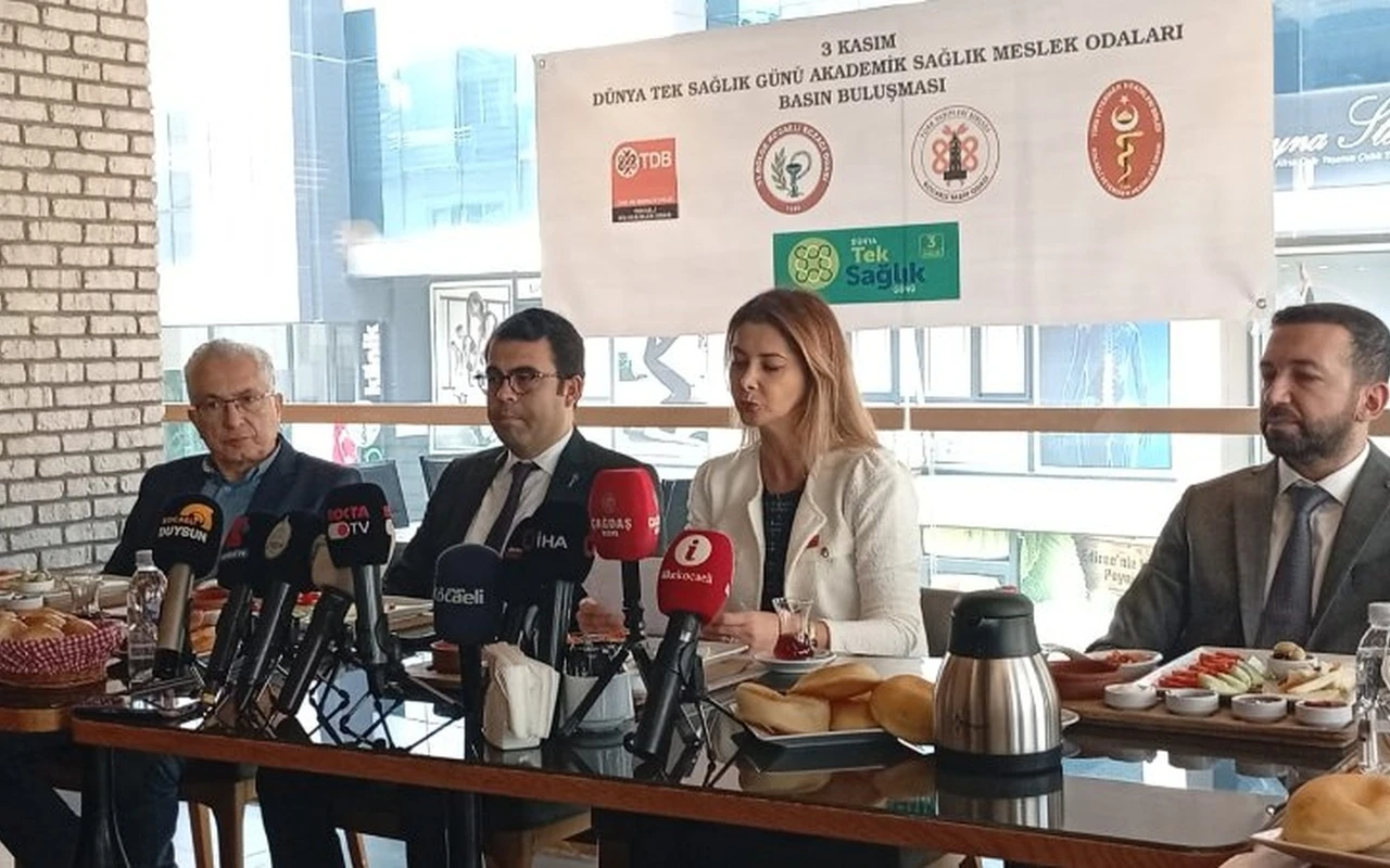 Kocaeli sağlık odaları tek sağlık uyardı