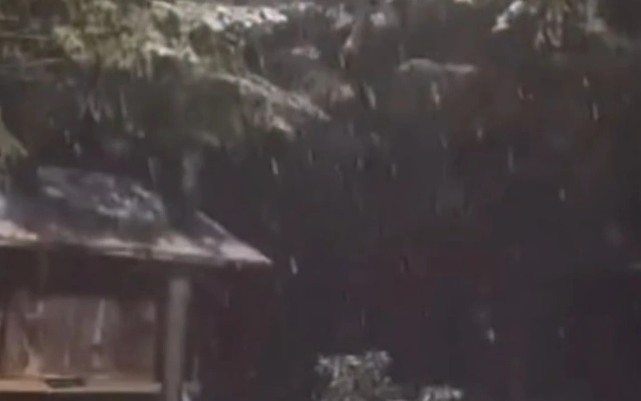 Kocaeli’ye yılın ilk karı düştü