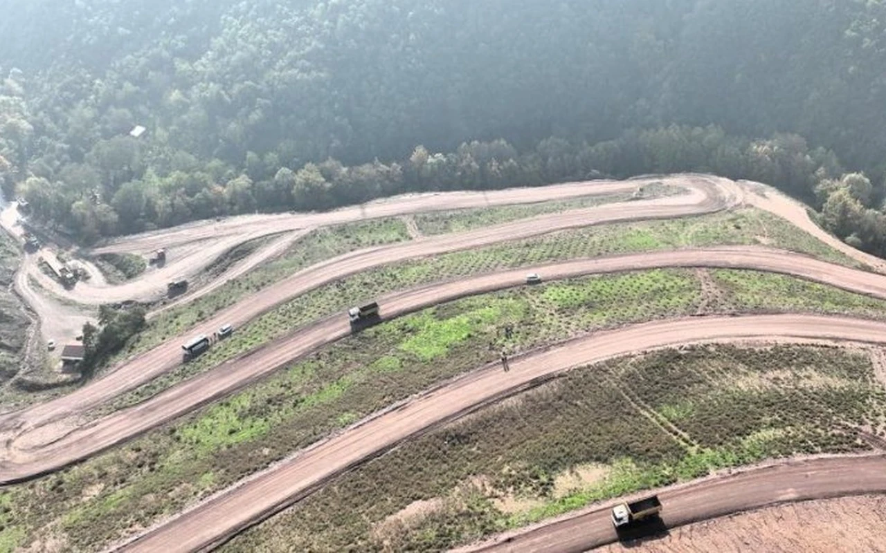 Körfez’e 3 bin 300 Toros sediri dikilecek