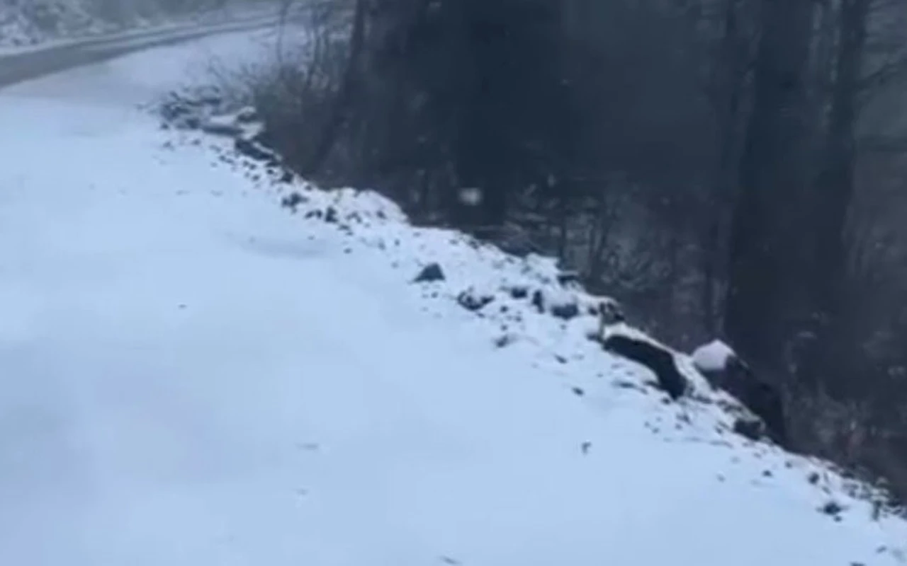 Kartepe kar yağışıyla beyaza büründü