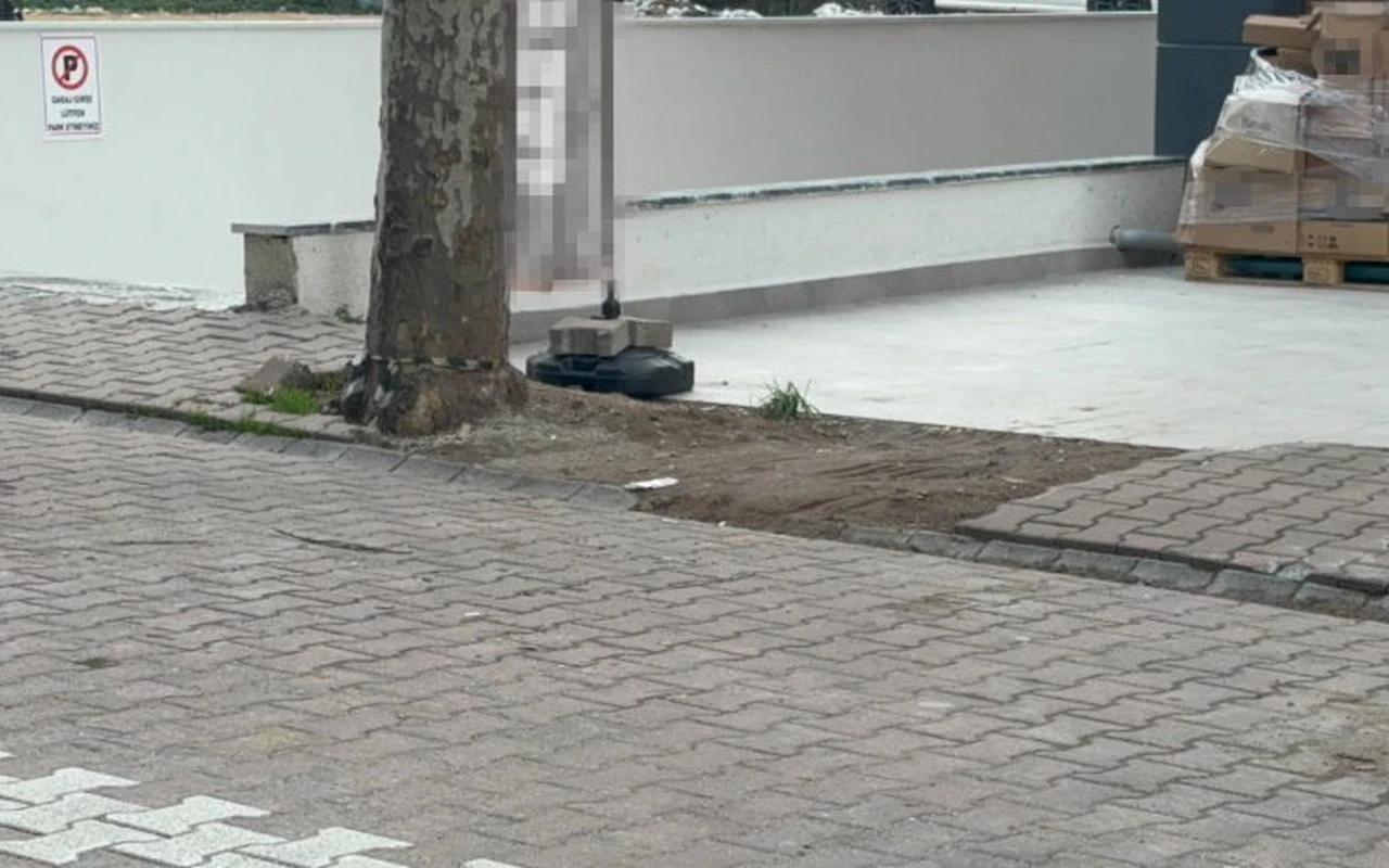 Market çalışanı çöp poşetinde 60 bin dolar buldu