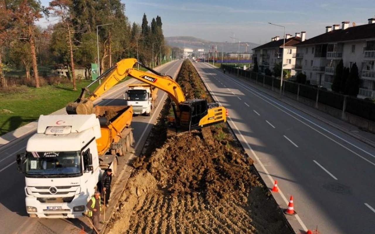 Kocaeli tramvay hattı için ağaçlar taşınıyor