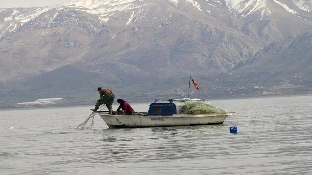 Denizlerde av yasağı 15 Nisan'da başlıyor: İşte yasaklı türler ve tarihler