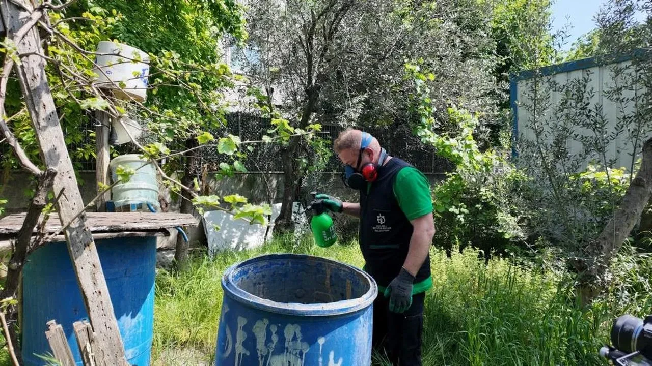 Kocaeli'de sivrisinekle mücadele: 34 ekip sahada