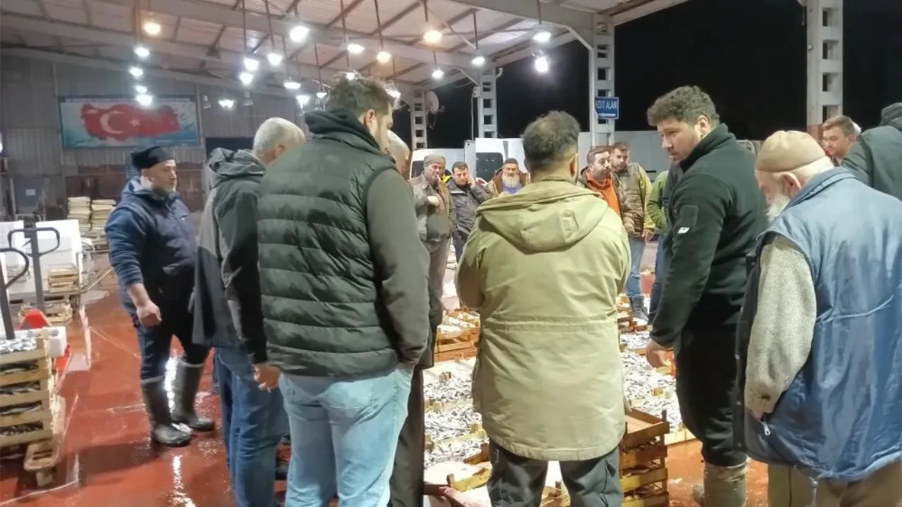 Av yasağına rağmen küçük balıkçılar denizde  Ereğli Balık Hali'nde hareketlilik başladı