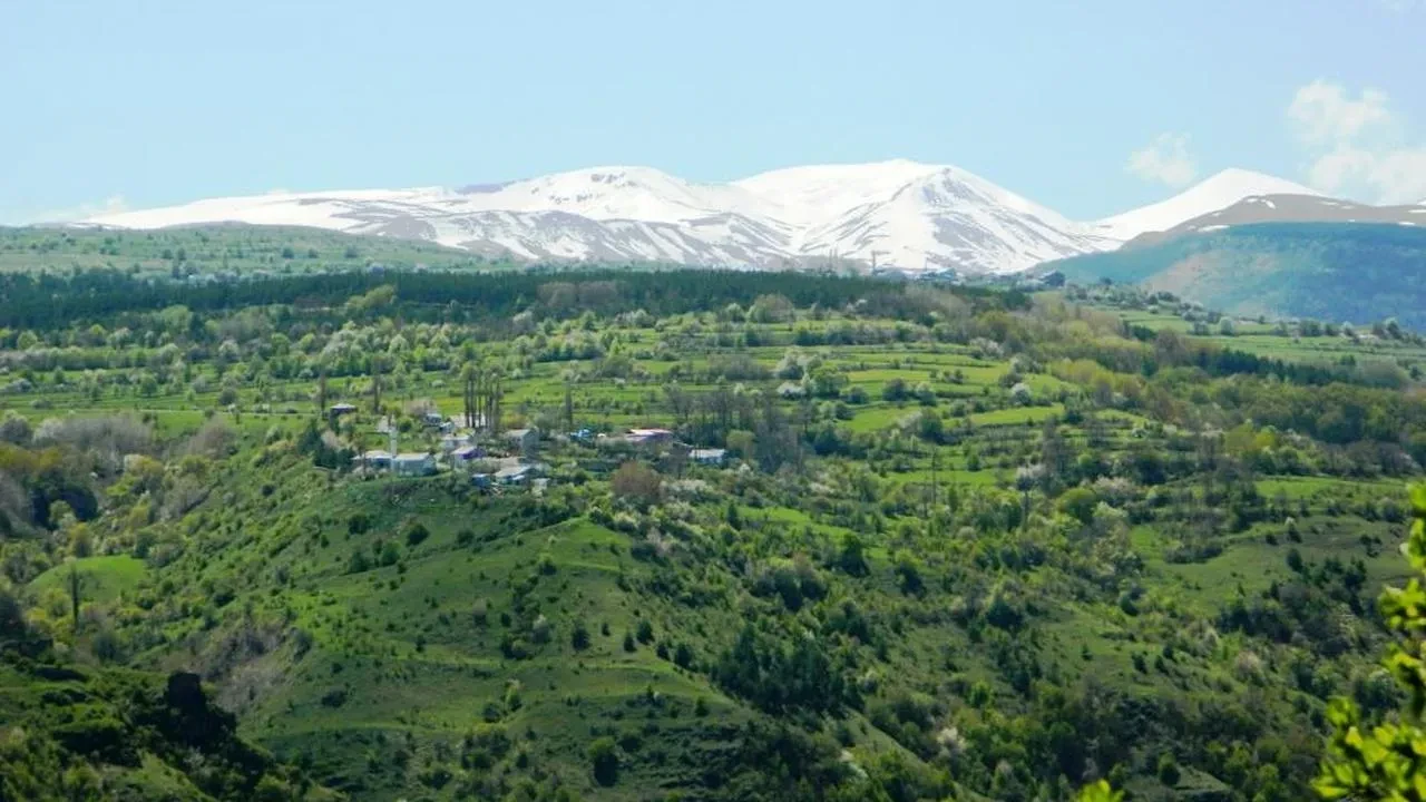 Posof'ta bahar coşkusu: Doğanın renkleriyle büyülenmeye hazır mısınız?
