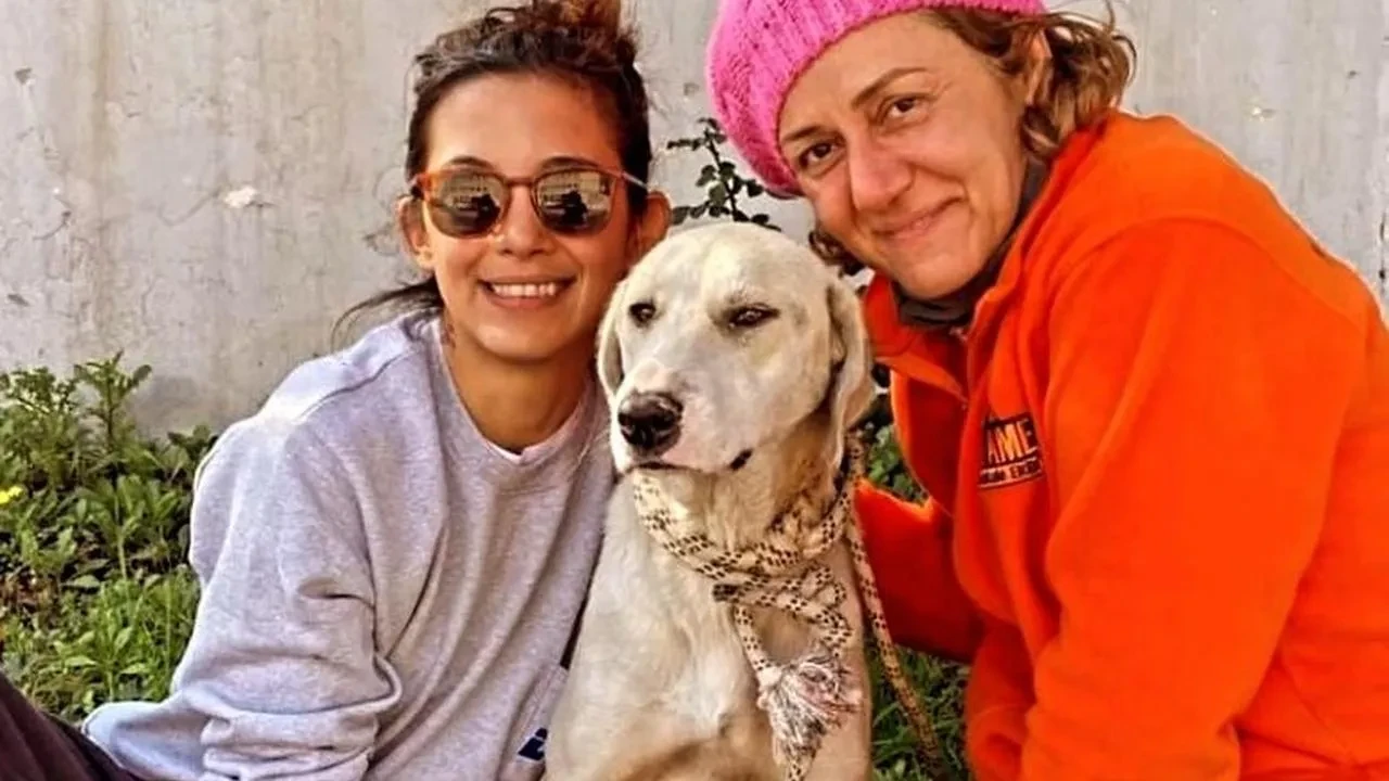 Depremde kurtarılan köpek: Datça'daki yeni hayatına devam ediyor