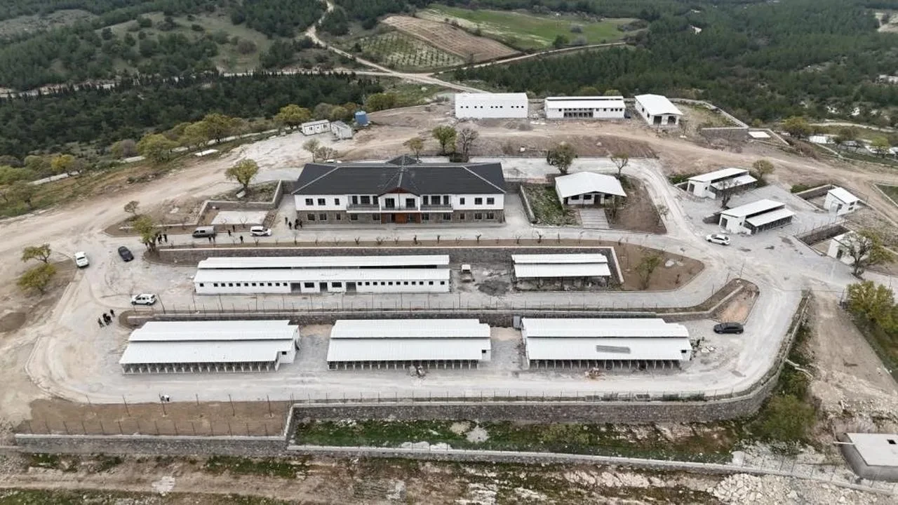 Ege Bölgesi'nde hayvanlar için yeni bir mühim adım: En büyük hayvan yaşam merkezi kapılarını açıyor