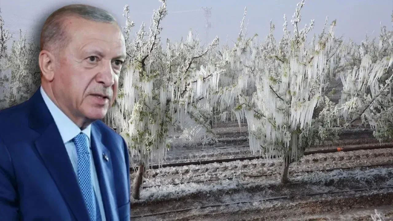 Erdoğan'dan çiftçilere destek müjdesi: Don olayının ardından TARSİM yardımları devrede