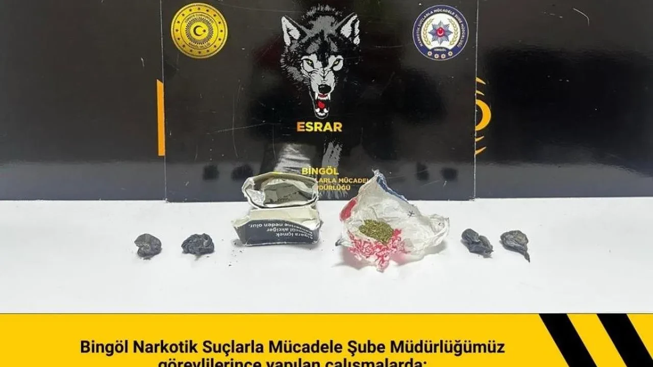 Bingöl'de uyuşturucu operasyonu: 2 şüpheli yakalandı