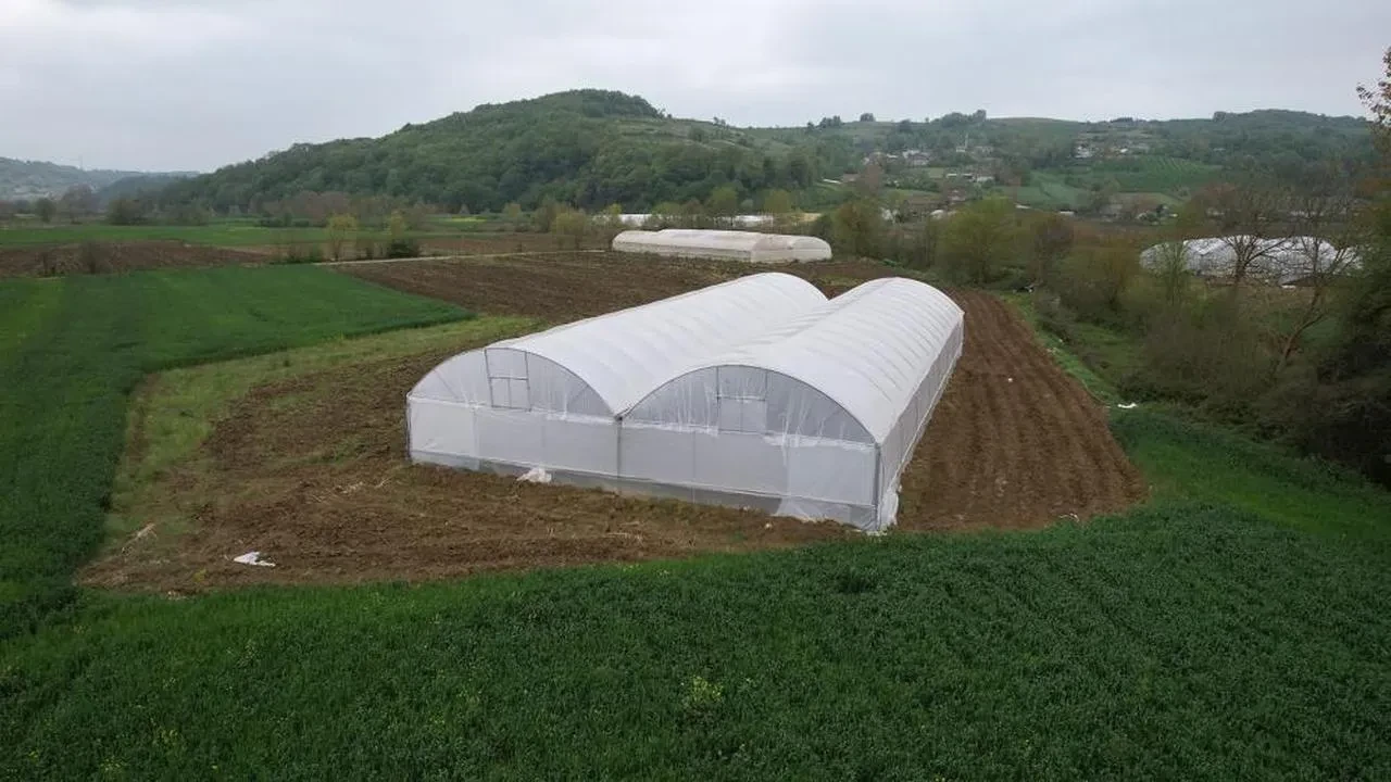 Çiftçilere büyük destek: Kocaeli'de hibeli modern seralar sahiplerini buldu